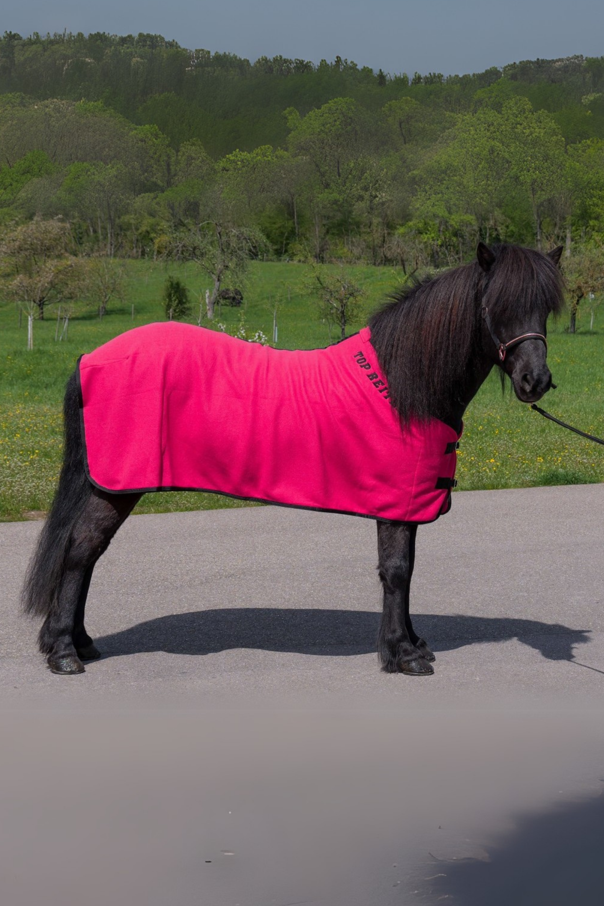 DE-FLE-BL-125 - Pink