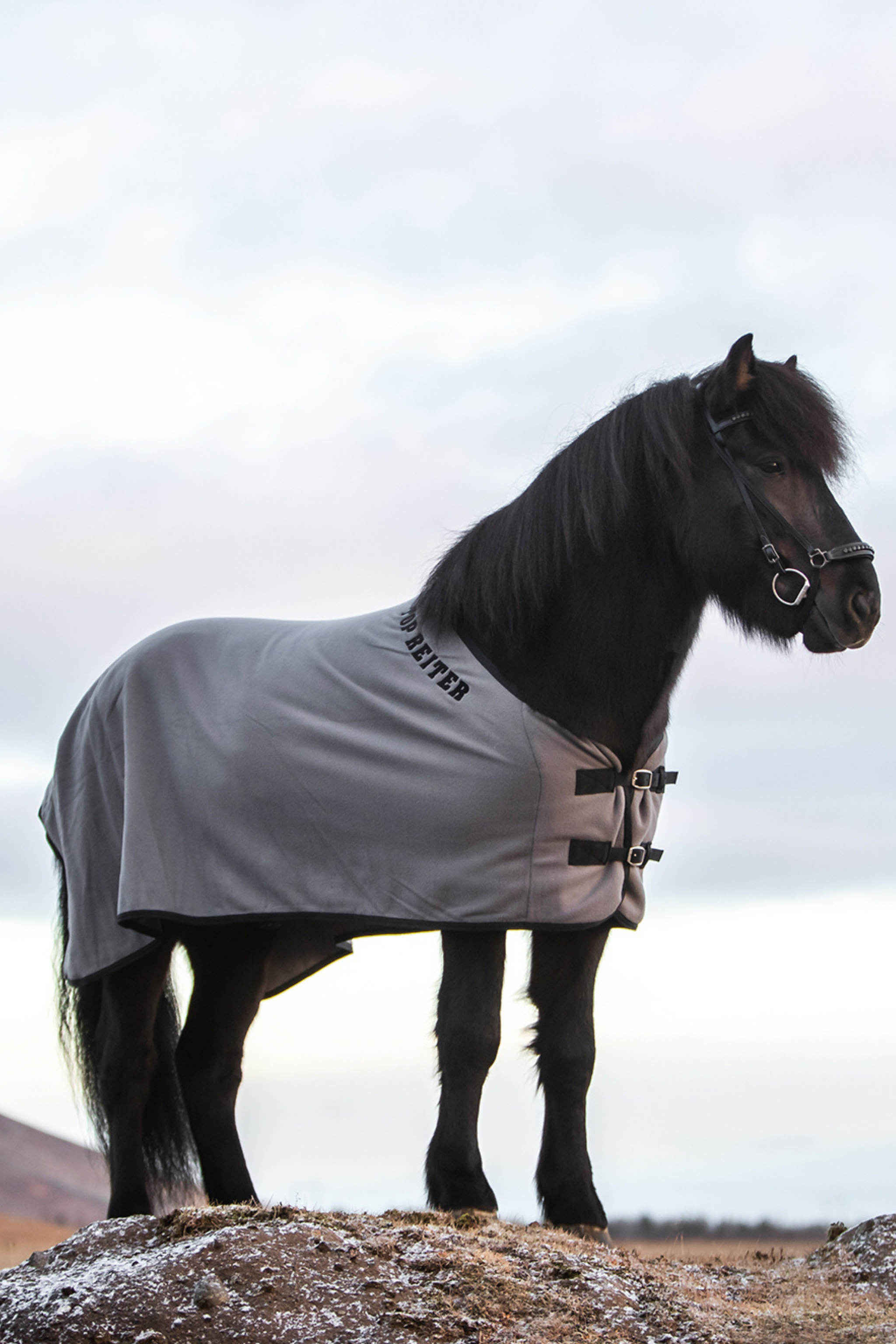 DE-FLE-BL-125 - Grau