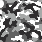 DE-EKZ-CAMO-135