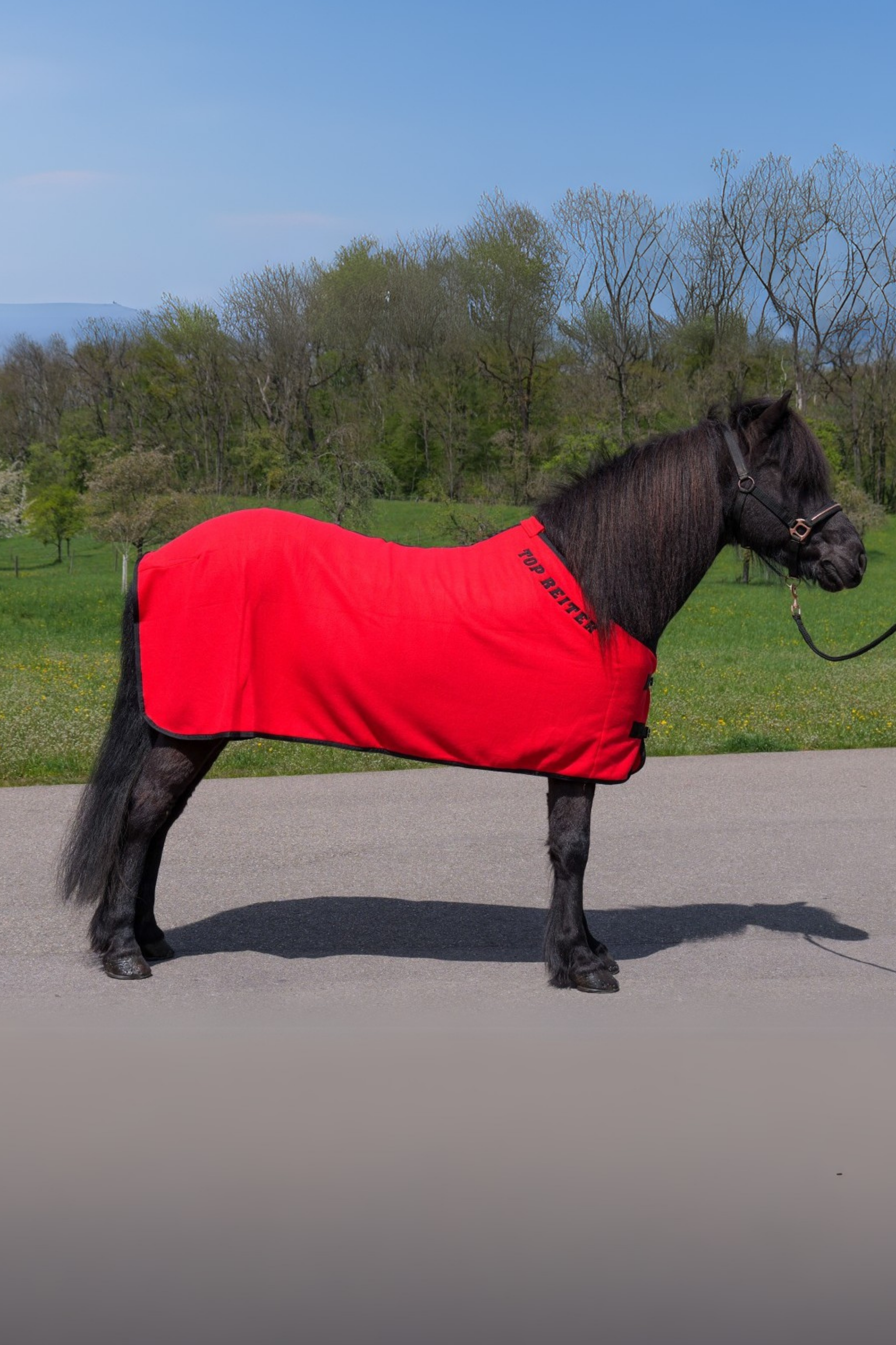 DE-FLE-BL-125 - Rot