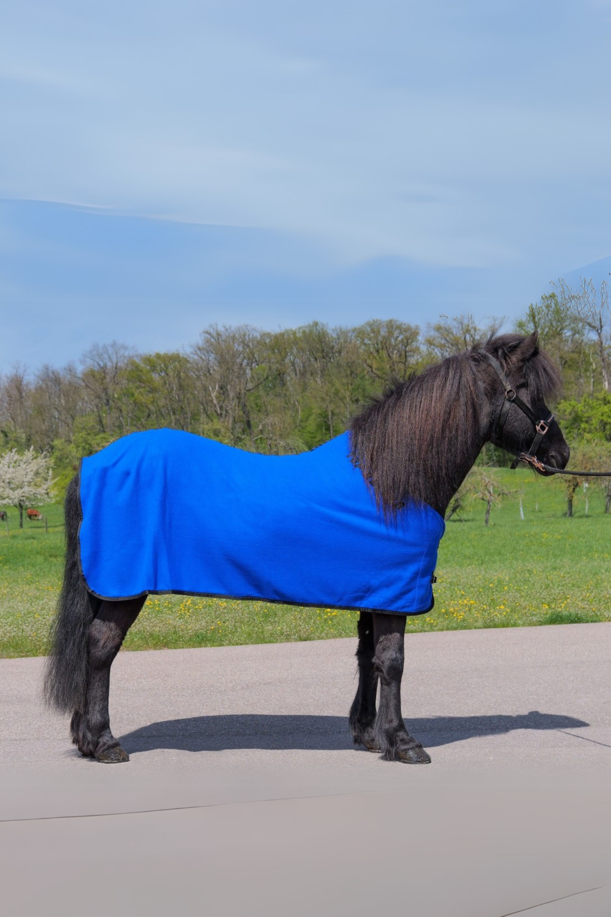 DE-FLE-BL-125 - Royalblau
